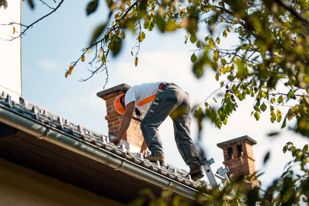 Best Sealant for Roof  in Ahuimanu, HI