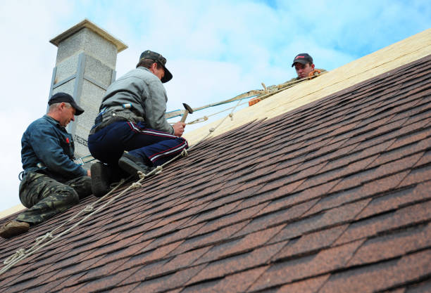 Best Shingle Roofing Installation  in Ahuimanu, HI